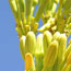 image12