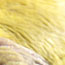 image17