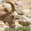 image03