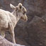 image04