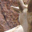 image05