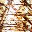 image24