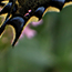 image17