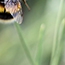 image22