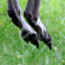 image13