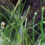 image16