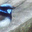 image02