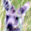 image06