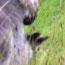 image07