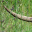 image08