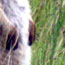 image09