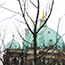 image06
