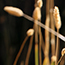 image05