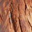 image12