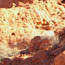 image21