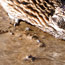 image01