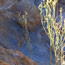 image15