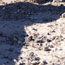 image02