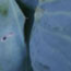 image02
