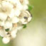 image22