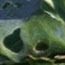 image03