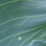 image04