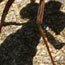 image06