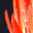 image08