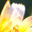 image09