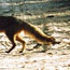 image10