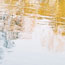 image15