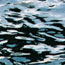 image02