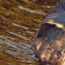 image07