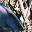 image08