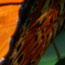 image33