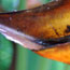 image12