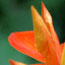 image22