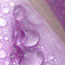image28