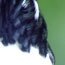 image11