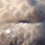 image12