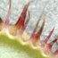image09
