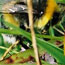 image02
