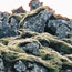 image09