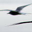 image07