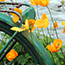 image04