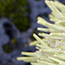 image21