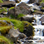image05