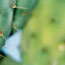 image17