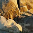 image15