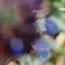 image32